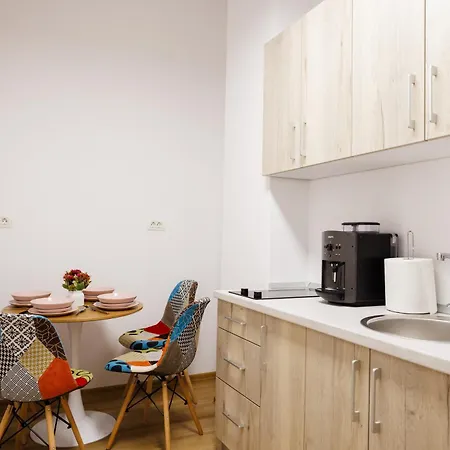 Luxury And Comfort In Timisoaras Oldest * Timisoara