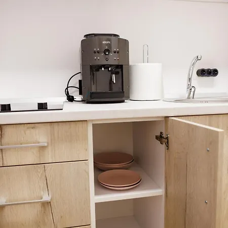 Luxury And Comfort In Timisoaras Oldest Appartement *