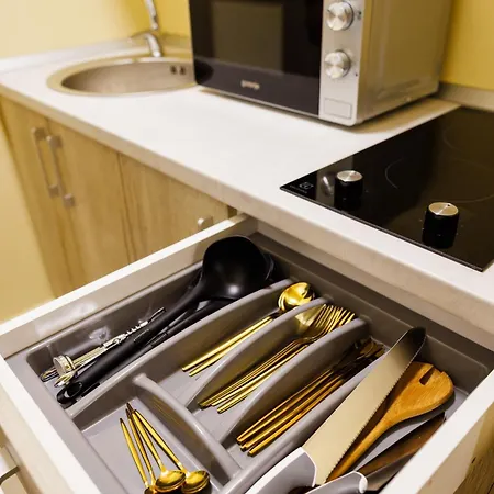 Luxury And Comfort In Timisoaras Oldest Timişoara