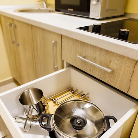 Luxury And Comfort In Timisoaras Oldest *