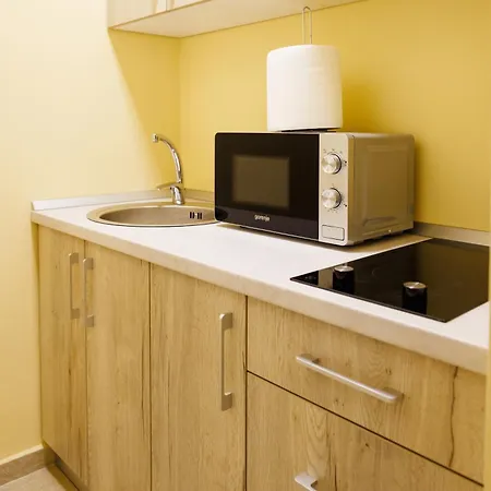 Appartement Luxury And Comfort In Timisoaras Oldest