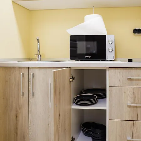 Appartement Luxury And Comfort In Timisoaras Oldest *