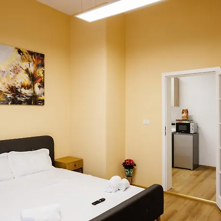 Appartement Luxury And Comfort In Timisoaras Oldest Timişoara
