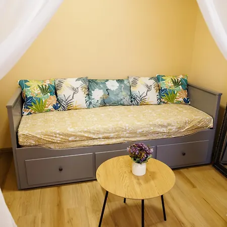 Luxury And Comfort In Timisoaras Oldest Appartement