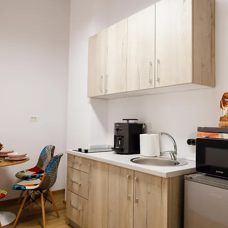 Luxury And Comfort In Timisoaras Oldest Timişoara