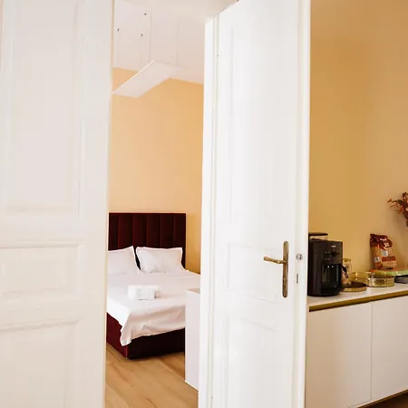Luxury And Comfort In Timisoaras Oldest Timişoara