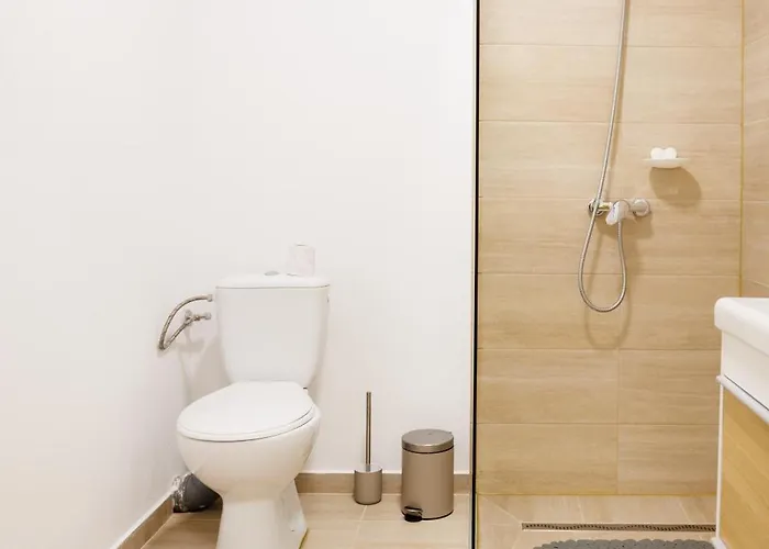 Luxury And Comfort In Timisoaras Oldest