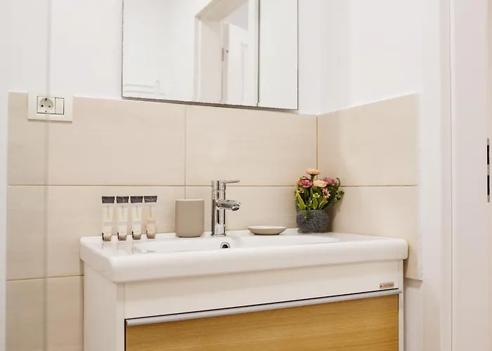 Luxury And Comfort In Timisoaras Oldest Timişoara