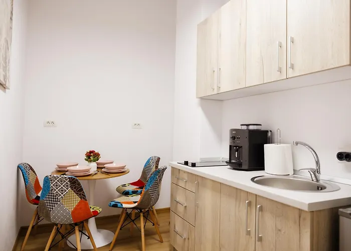 Luxury And Comfort In Timisoaras Oldest * Timişoara