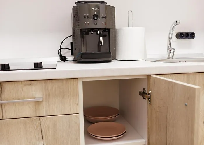 Luxury And Comfort In Timisoaras Oldest Lejlighed *