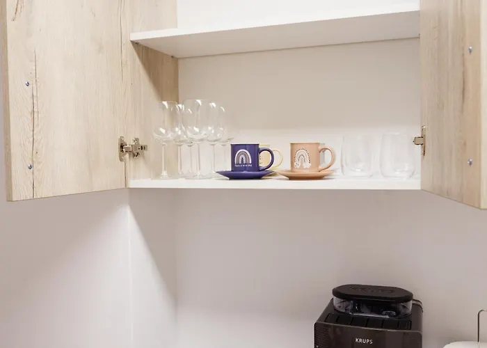 Luxury And Comfort In Timisoaras Oldest Lejlighed