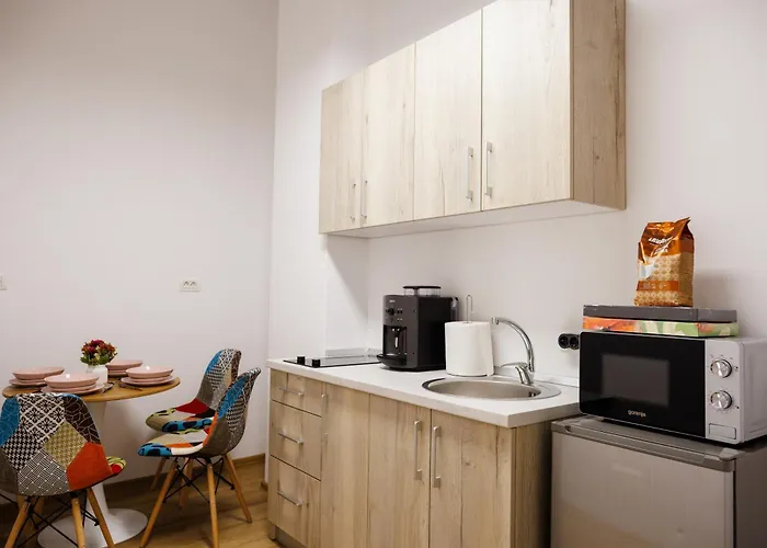 Luxury And Comfort In Timisoaras Oldest Timişoara