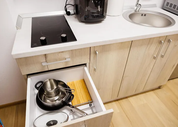 Luxury And Comfort In Timisoaras Oldest Lejlighed *