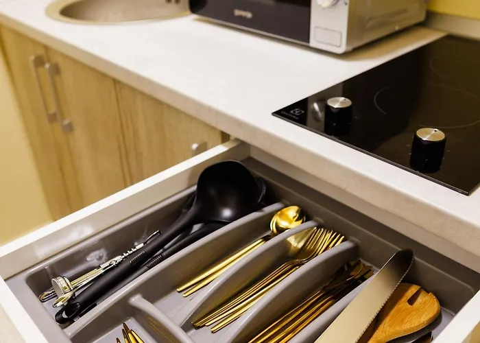 Luxury And Comfort In Timisoaras Oldest Timişoara