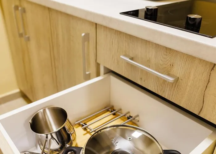 Luxury And Comfort In Timisoaras Oldest *