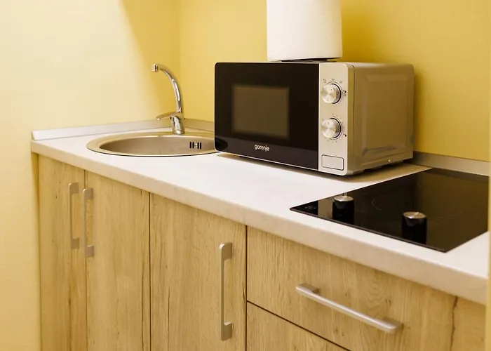 Lejlighed Luxury And Comfort In Timisoaras Oldest