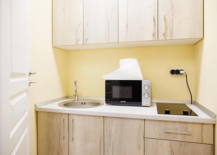 Luxury And Comfort In Timisoaras Oldest Lejlighed *